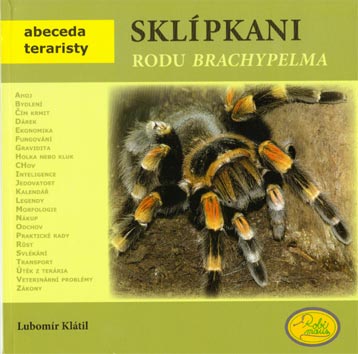 Brachypelma_Klatil.jpg