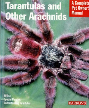 Tarantula_And_Other_Arachni.jpg