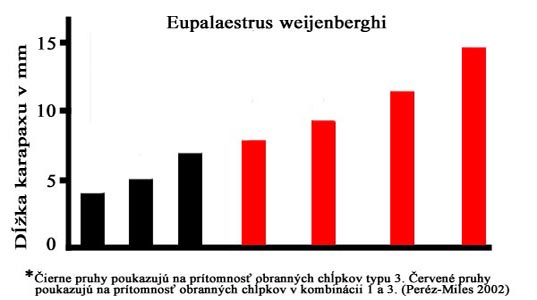 pohlavny-dimo-1.jpg