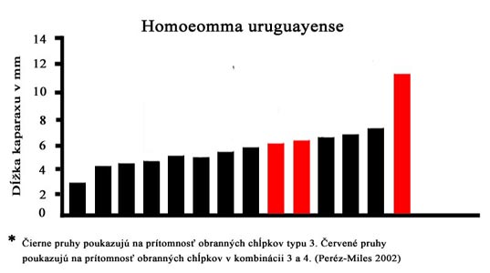 pohlavny-dimo-2.jpg